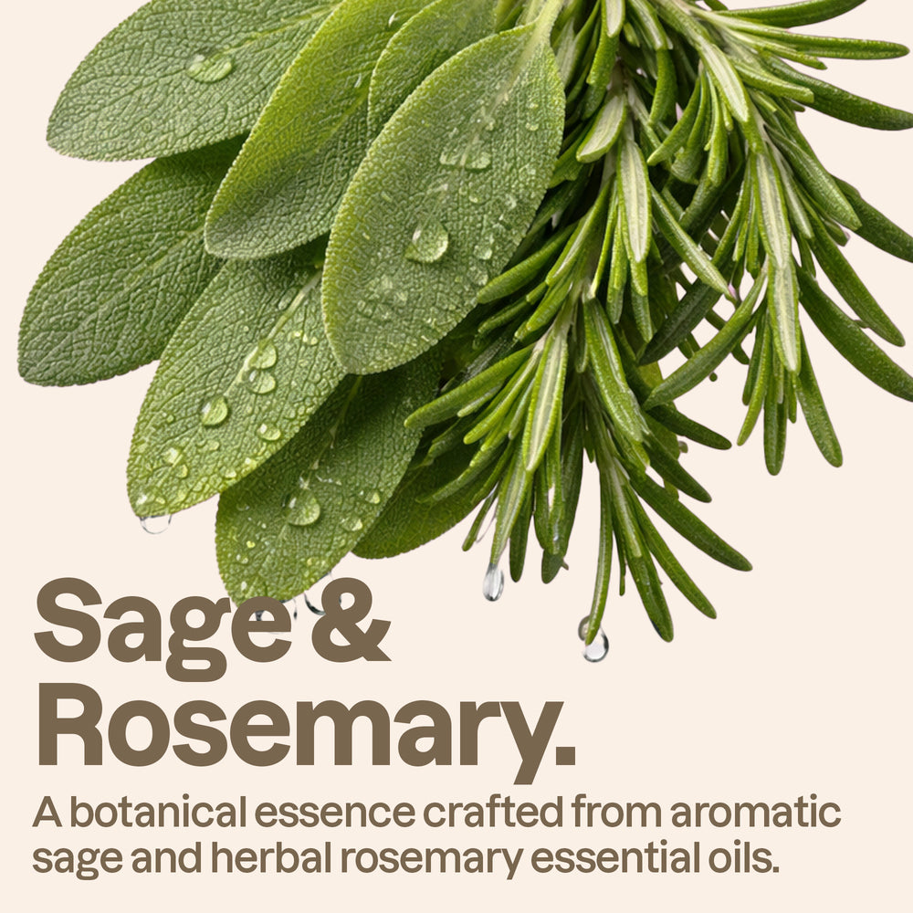Hand Soap - Essential Oils - Image 4